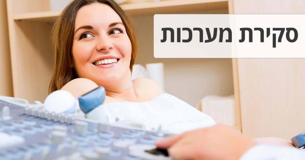 סקירת מערכות מוקדמת