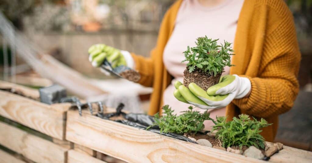 תחשבו על תחומי העניין והתחביבים שלה