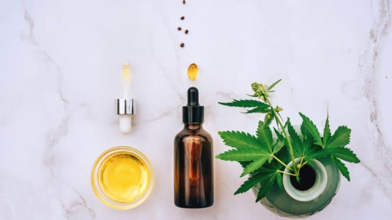 CBD ממכר