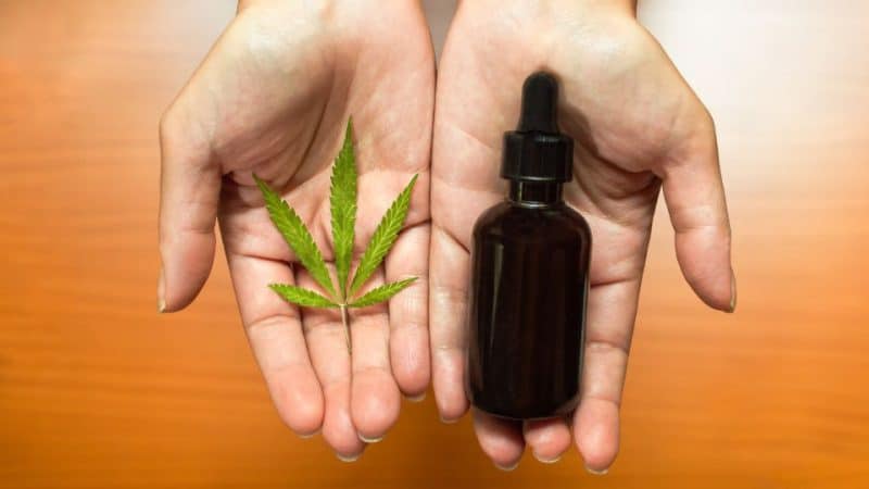 הבנת CBD ו-THC