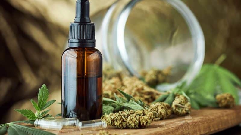 שמן CBD לילדים